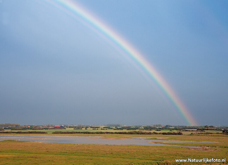 ansichtkaart regenboog (0505)