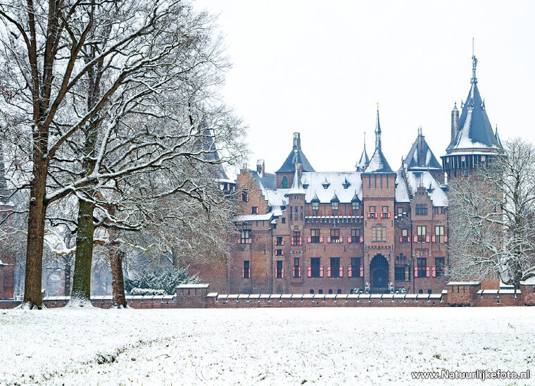 ansichtkaart kasteel de Haar in Haarzuilens (0556)