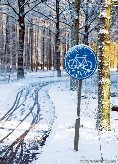 ansichtkaart fietspad in de winter (0558)