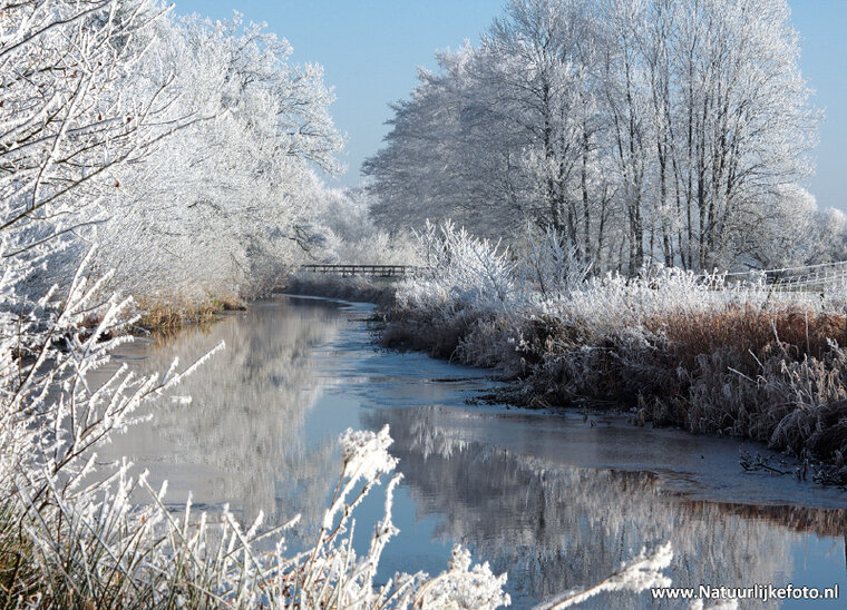 ansichtkaart Ouddiep / Koningsdiep Beetsterzwaag (0436)