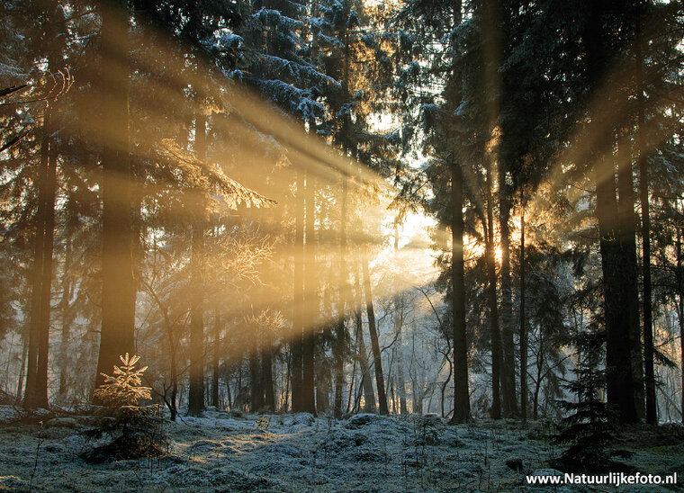 ansichtkaart zonsondergang Dwingelderveld (0439)