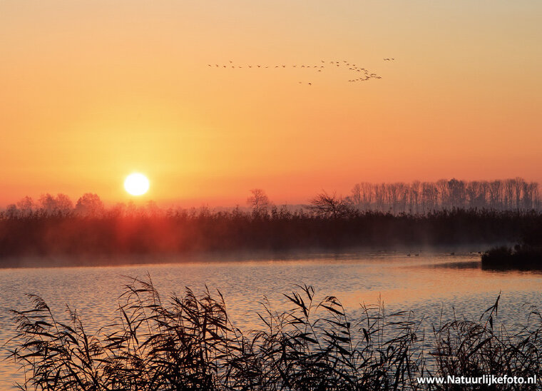 ansichtkaart zonsopkomst de Onlanden (0440)