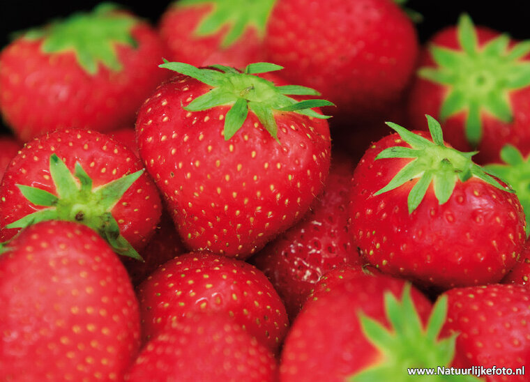 ansichtkaart aardbeien (0483)
