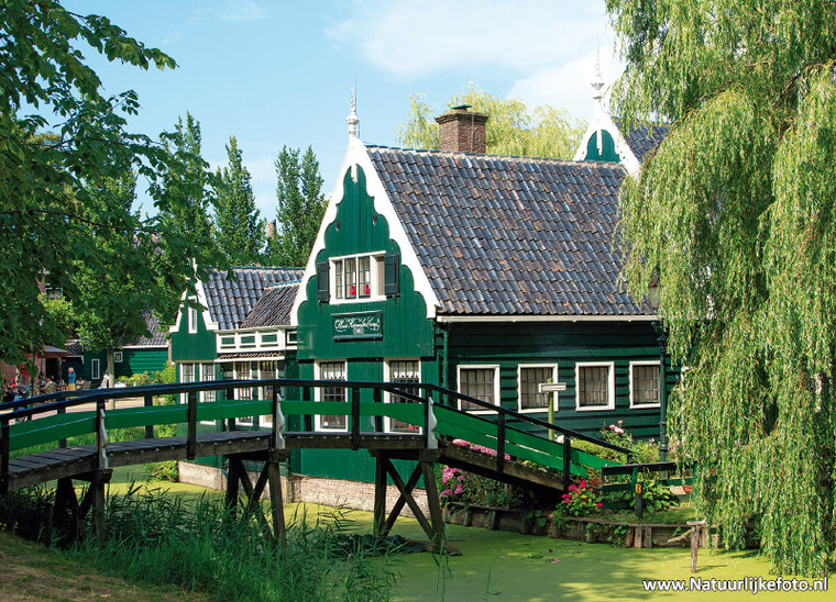 ansichtkaart de Zaanse Schans (0484)