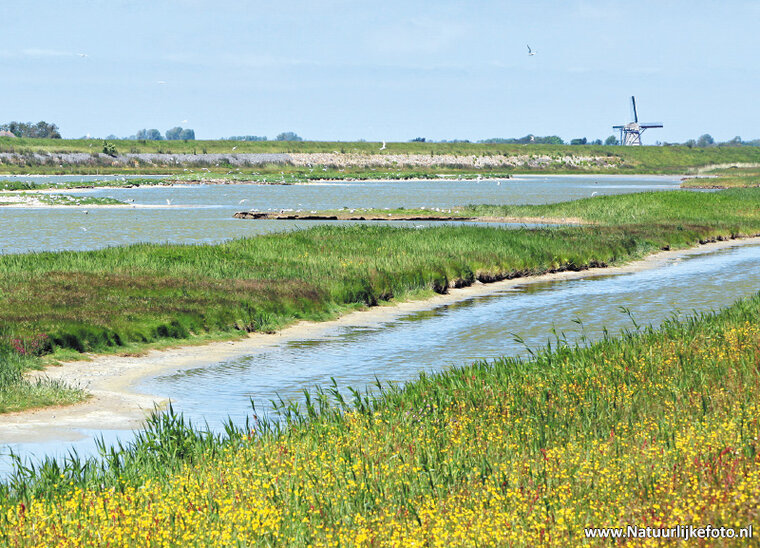 ansichtkaart het Wagejot op Texel (0303)