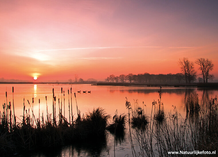 ansichtkaart zonsopkomst Leekstermeer (0306)