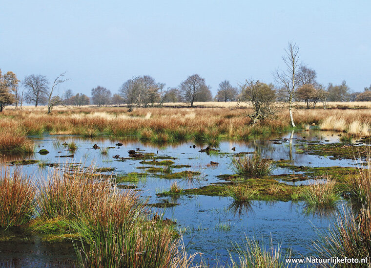 ansichtkaart Bargerveen (0319)