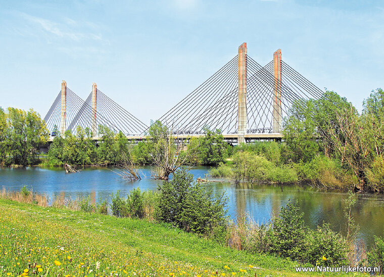 ansichtkaart Martinus Nijhoff brug - Zaltbommel (0334)