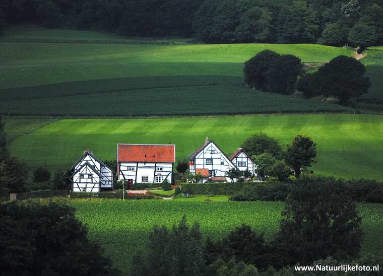 ansichtkaart Limburgse Vakwerkhuizen - Epen (0338)