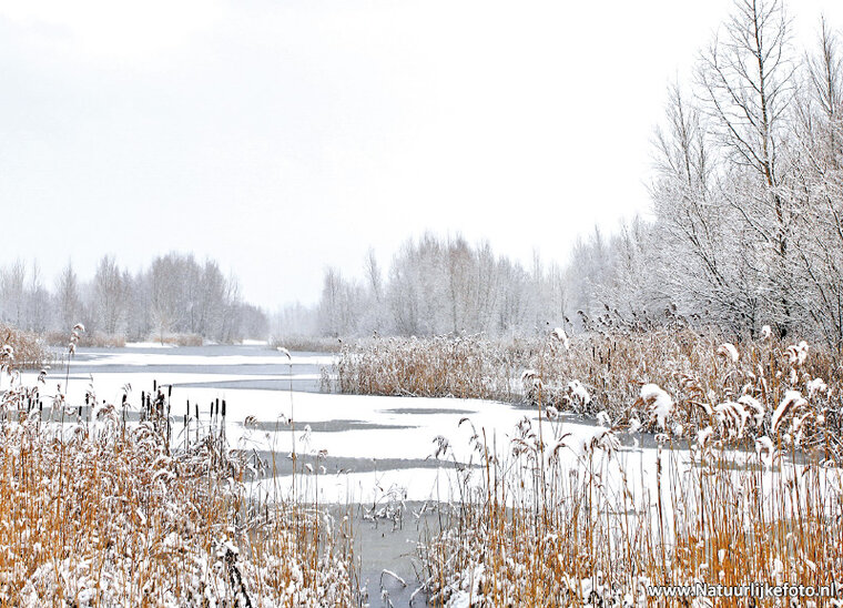 ansichtkaart winters landschap (0214)
