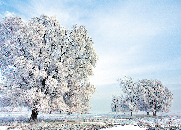 ansichtkaart winter in Lauwersmeergebied (0216)