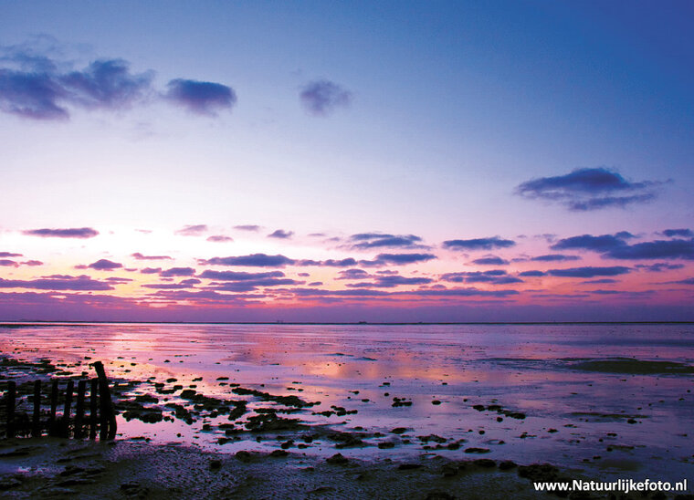 ansichtkaart Waddenzee - werelderfgoed (0233)