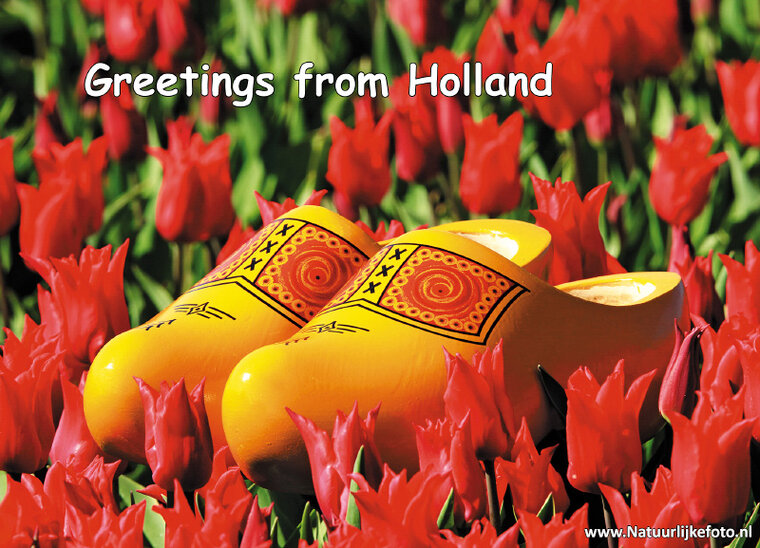 ansichtkaart klompen in een rood tulpenveld (0244)