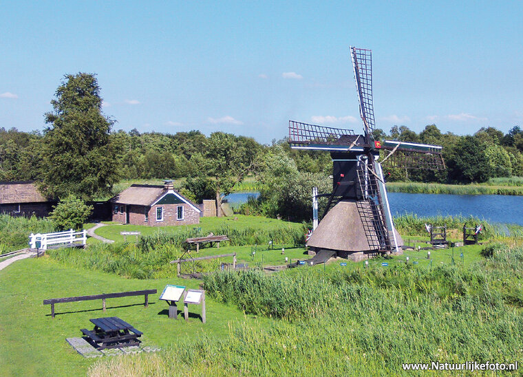 ansichtkaart spinnekopmolen de Wicher in Kalenberg (0248)