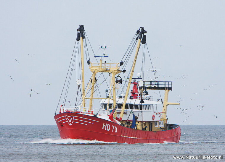 ansichtkaart vissersboot (0265)