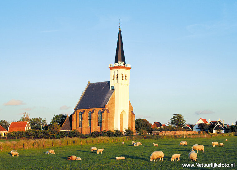 ansichtkaart kerkje den Hoorn - Texel (0268)