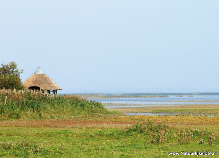 ansichtkaart Lauwersmeer - Ezumakeeg (0284)