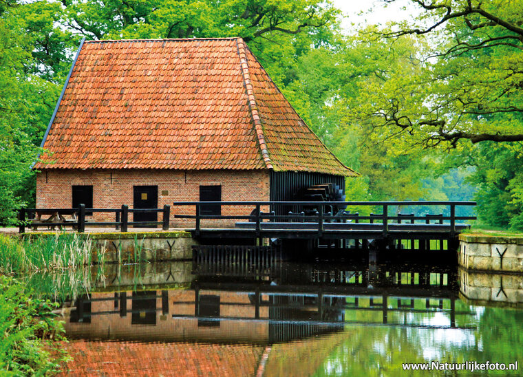 ansichtkaart watermolen de Noordmolen in Ambt-Delden (0115)