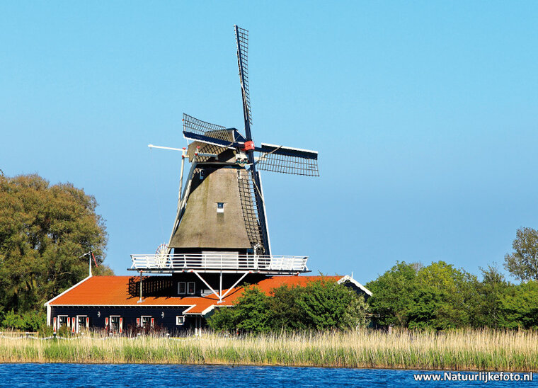 ansichtkaart molen Leonide in Anna Paulowna (0116)