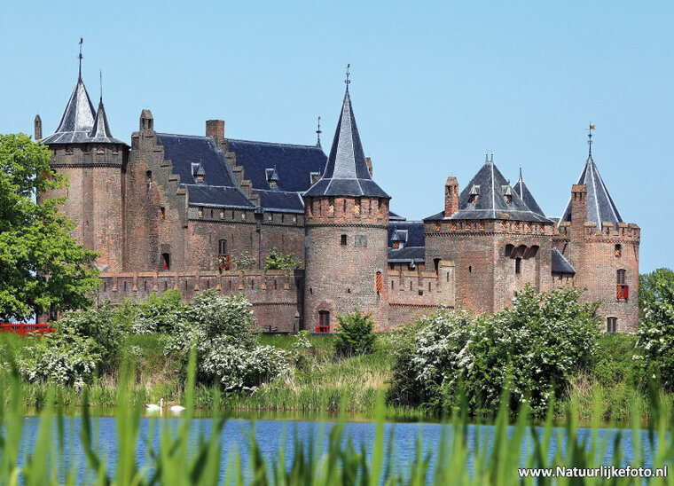 ansichtkaart Muiderslot in Muiden (0117)