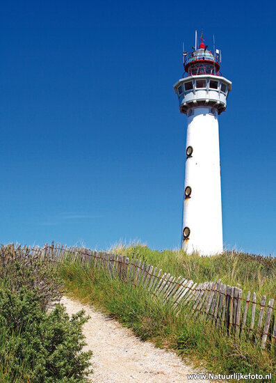 ansichtkaart vuurtoren Egmond aan Zee (0119)