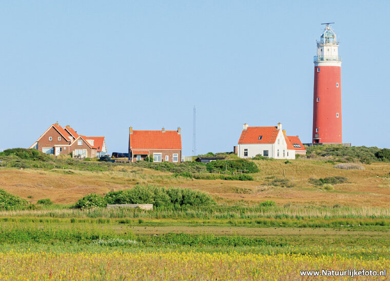 ansichtkaart vuurtoren van Texel (0166)