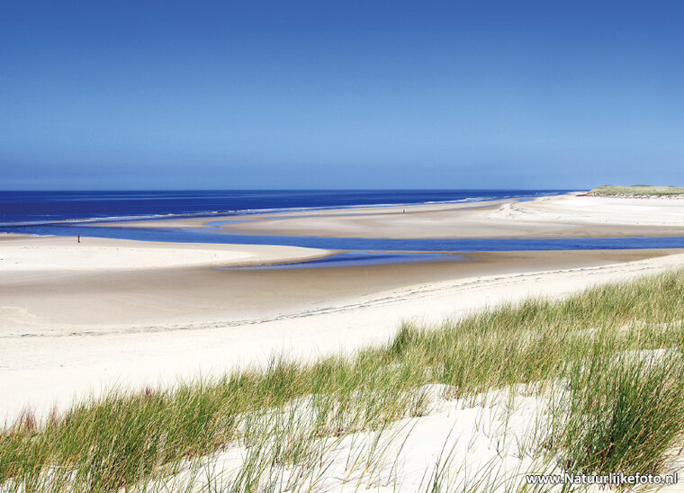 ansichtkaart de Slufter - Texel (0167)