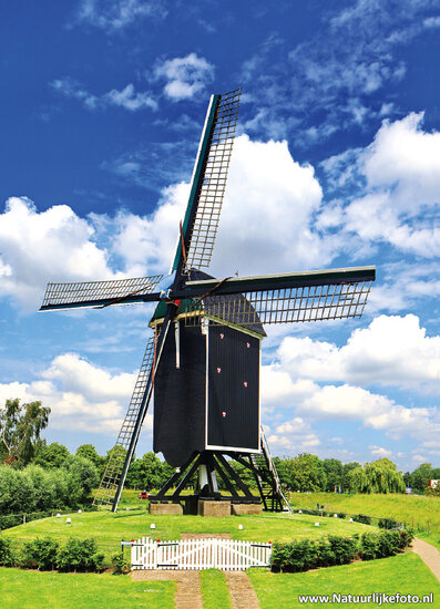 ansichtkaart molen 't Vliegend Hert in Brielle (0174)