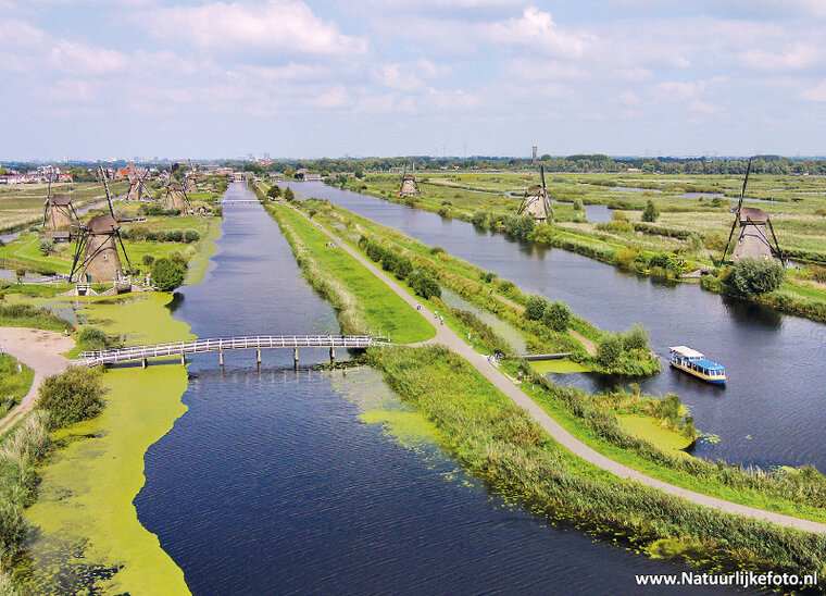 ansichtkaart molens van Kinderdijk (0196)