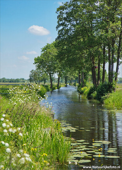 ansichtkaart landgoed Nienoord (0069)