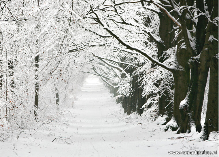ansichtkaart winterslaantje (0073)