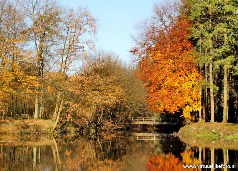ansichtkaart bruggetje in de herfst (0077)