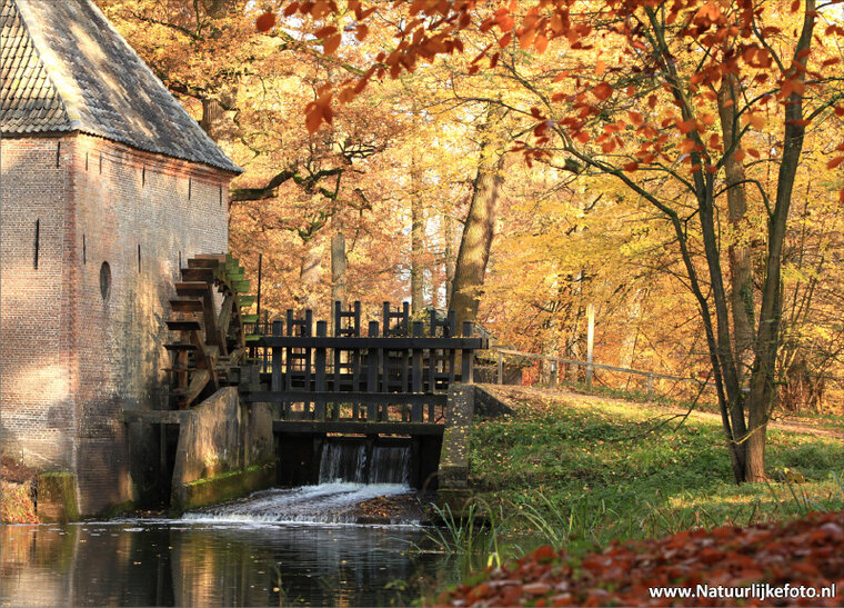 ansichtkaart watermolen Hackfort in Vorden (0079)