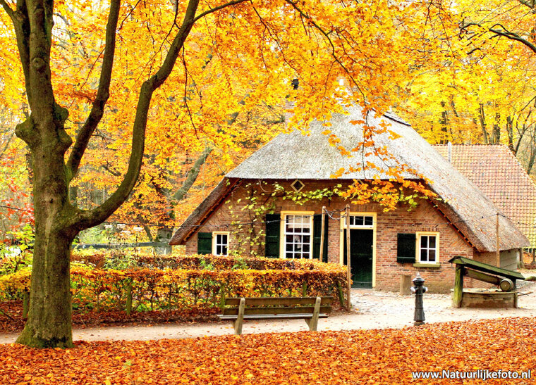 ansichtkaart kleine boerderij in de herfst (0082)