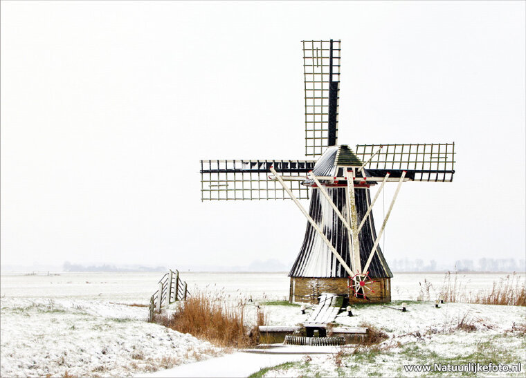 ansichtkaart molen de Gans in Ezumazijl (0089)