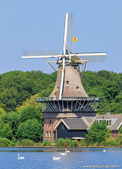 ansichtkaart molen Kralingse plas (0848)