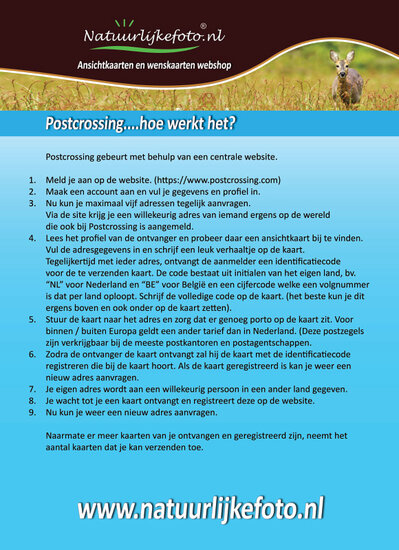 Flyer - Postcrossing hoe werkt het?