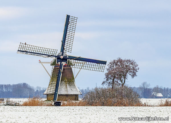 ansichtkaarten molens - set van 14 kaarten met molenmotief (nr. 131)