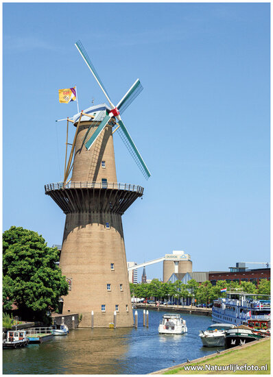 ansichtkaart Schiedam - molen de Nolet (C141)