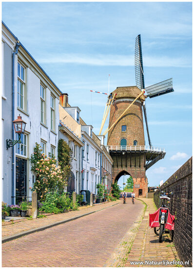 ansichtkaart Wijk bij Duurstede - molen Rijn en Lek (C140)