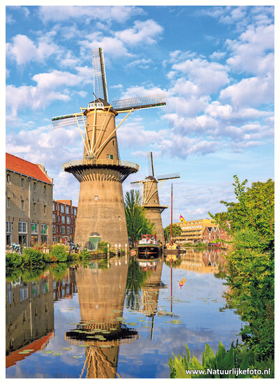 ansichtkaart molens in Schiedam (C138)