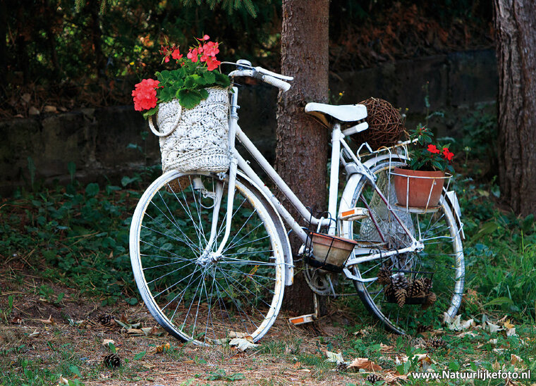 Fietsen ansichtkaarten - set met 10 fiets kaarten (nr. 10)