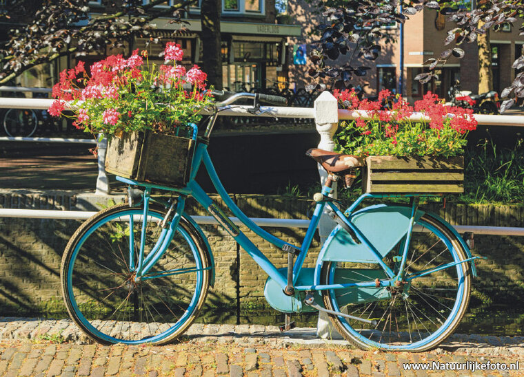 Fietsen ansichtkaarten - set met 10 fiets kaarten (nr. 10)