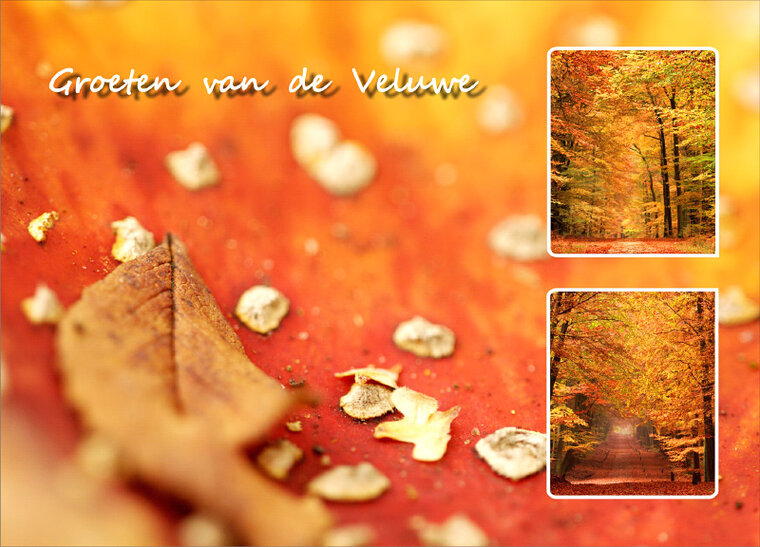 Veluwe ansichtkaarten - set met 12 kaarten (nr. 15)