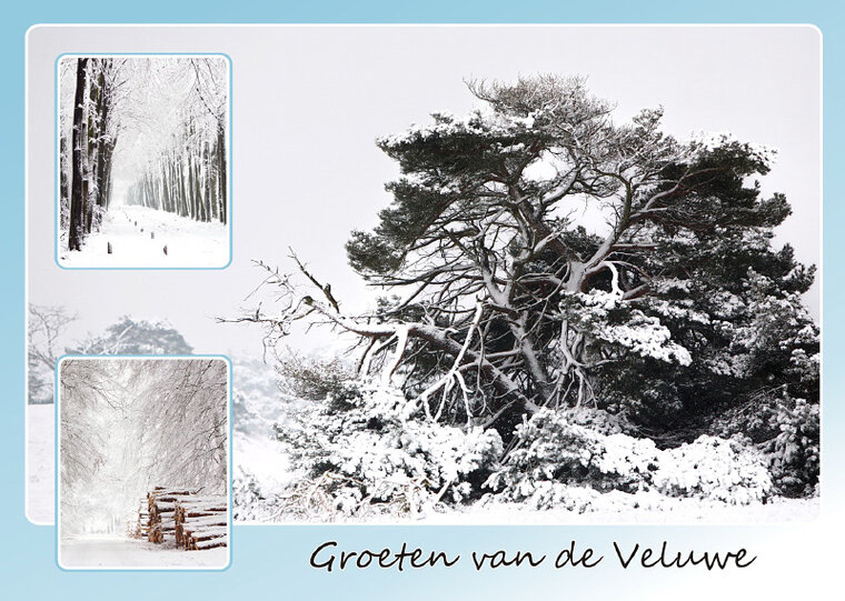 Veluwe ansichtkaarten - set met 12 kaarten (nr. 15)
