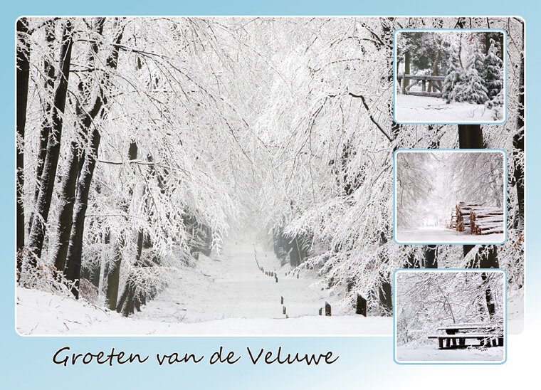 Veluwe ansichtkaarten - set met 12 kaarten (nr. 15)