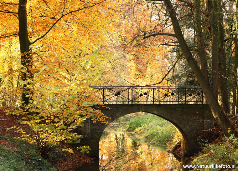 ansichtkaarten herfst - set met 15 herfst kaarten (nr. 20)