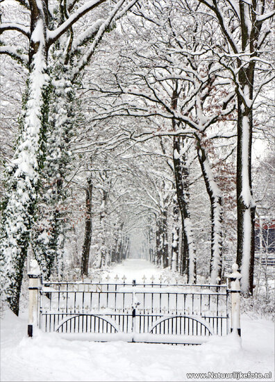 kaarten set winter - set met 21 winterse kaarten (nr. 46)