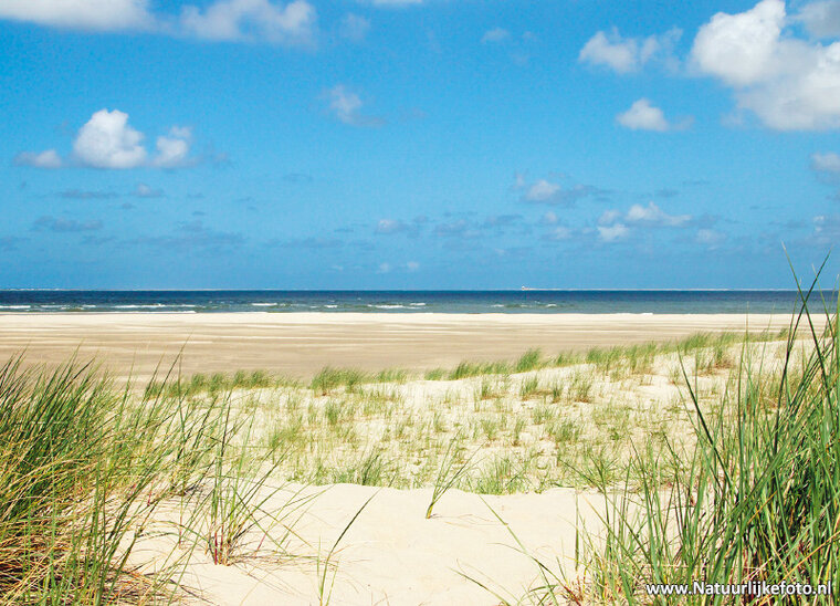 ansichtkaarten set strand en zee - set met 12 kaarten (nr. 40)