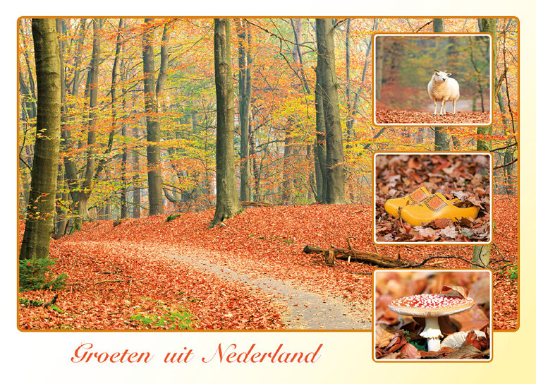 ansichtkaarten Nederland - set met 9 kaarten + flyer Postcrossing hoe werkt het (nr. 109)
